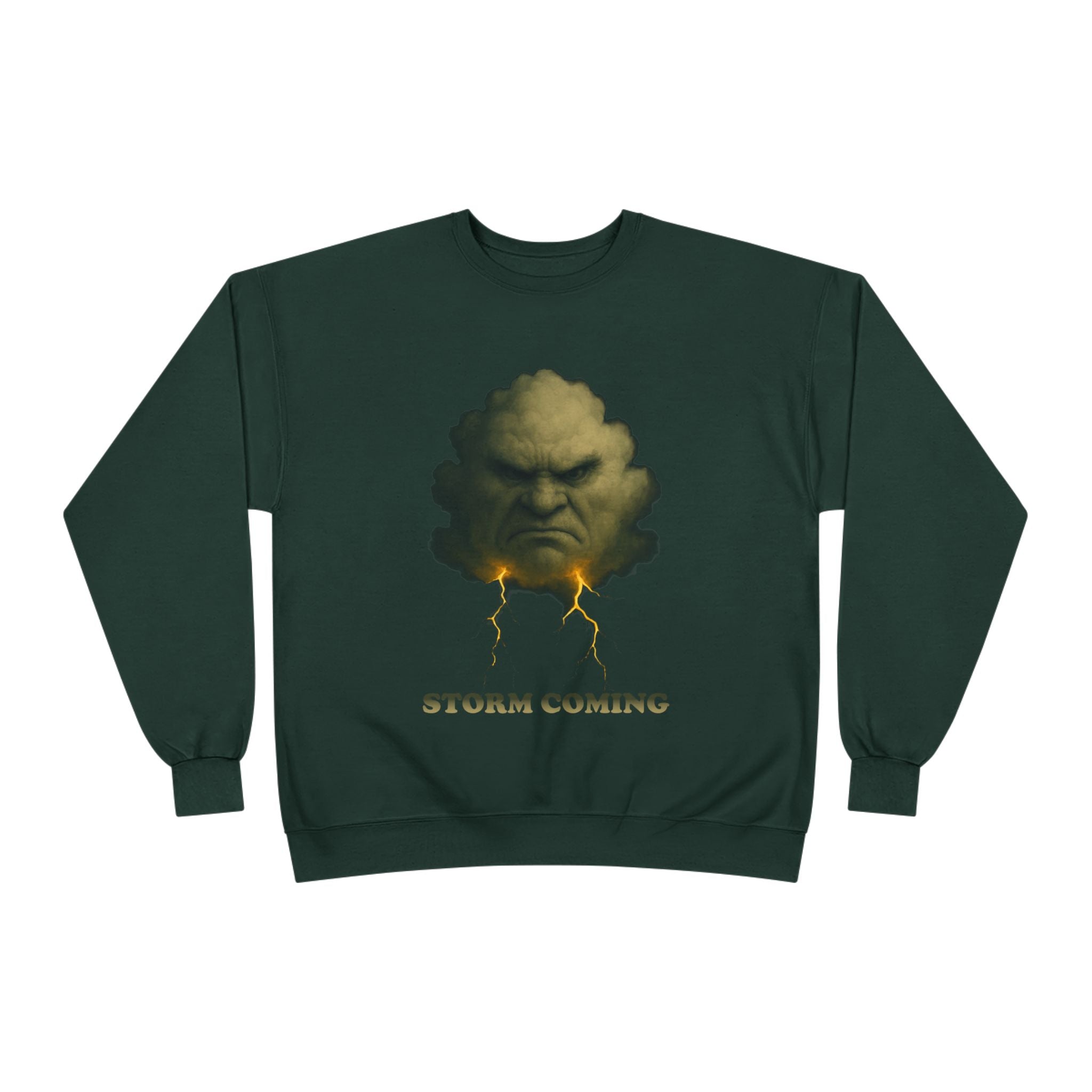 Storm Coming Sweatshirt — Angry Cloud Graphic Crewneck